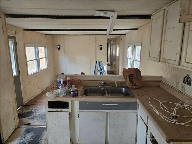 kitchen featuring sink