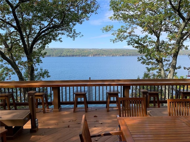 dock area with a water view