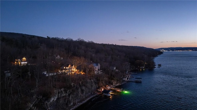 4555 Davies Rd, Hector, NY 14818 - water view