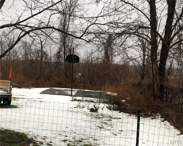 view of snowy yard