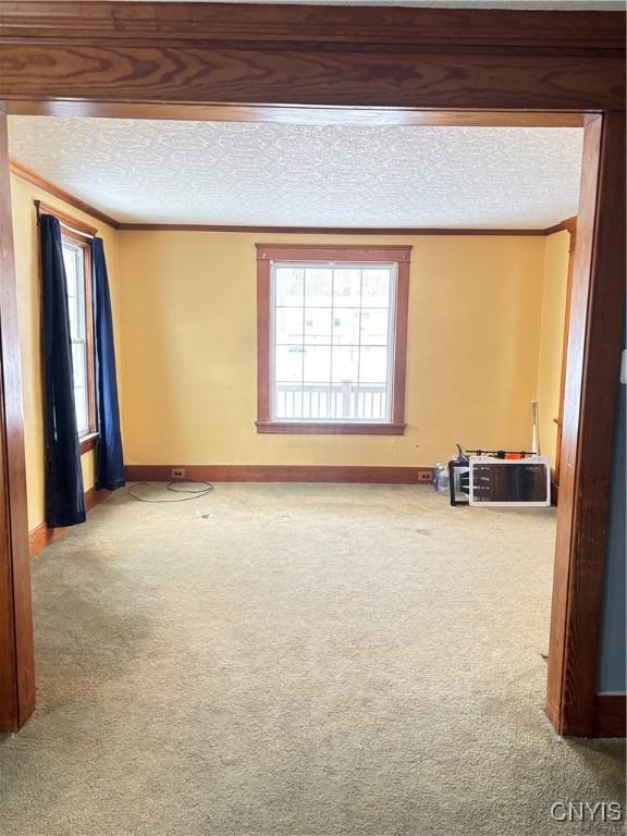 carpeted spare room featuring a textured ceiling and ornamental molding