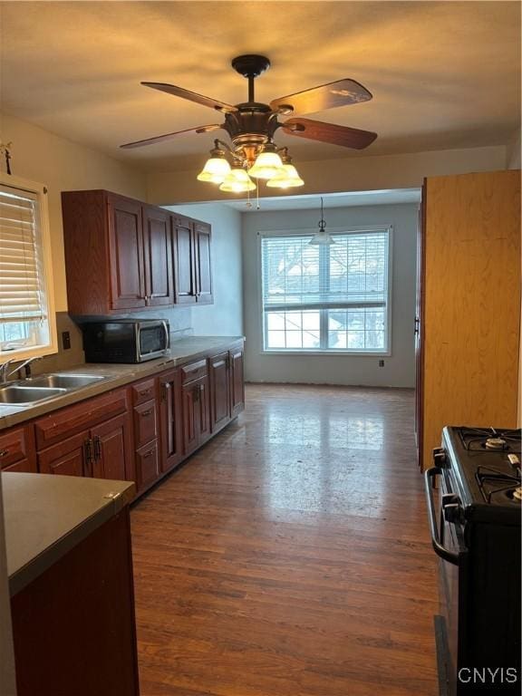 kitchen with hardwood / wood-style floors, ceiling fan, sink, and appliances with stainless steel finishes