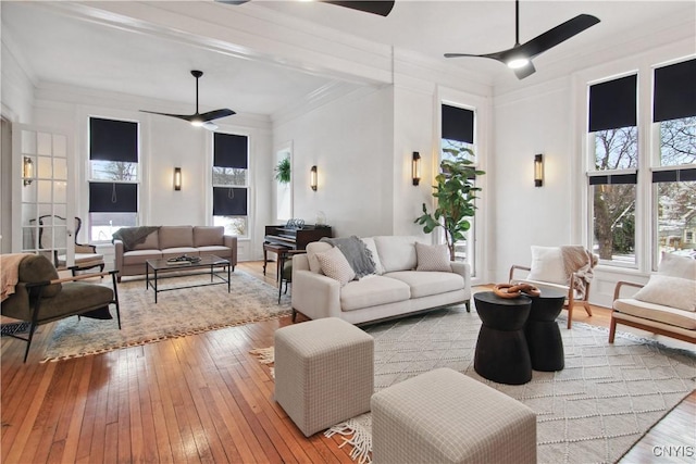 living room with light wood-type flooring, ceiling fan, and ornamental molding