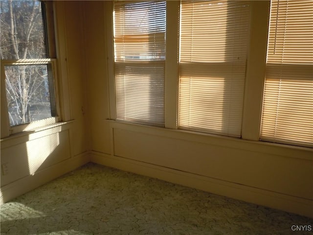 spare room with carpet floors