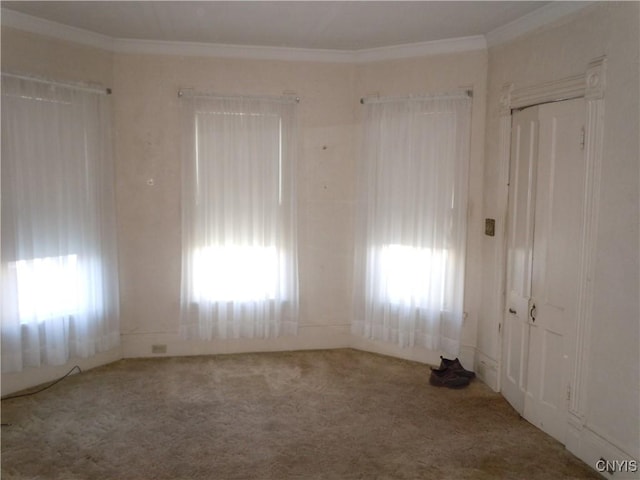 unfurnished room with carpet and ornamental molding