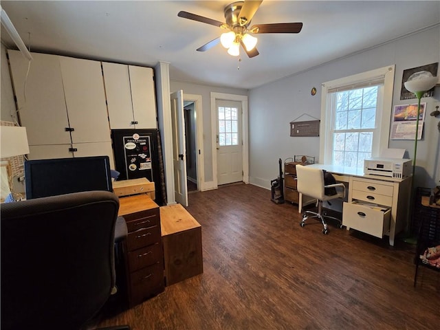 home office with dark hardwood / wood-style floors, plenty of natural light, and ceiling fan