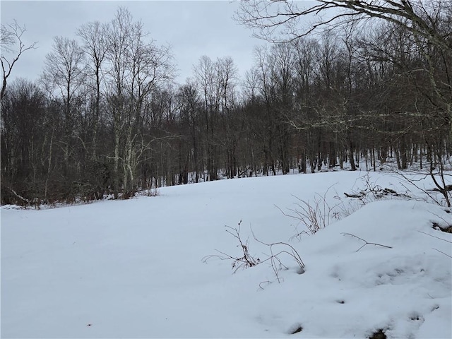 view of snowy yard