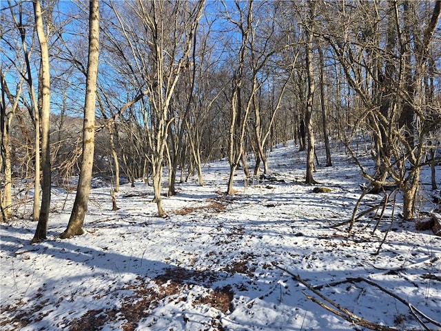 view of yard layered in snow