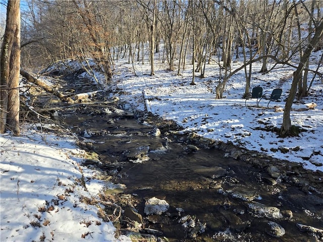 view of snowy landscape