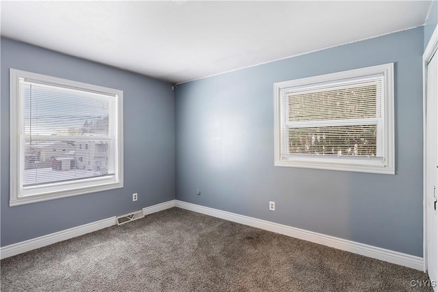 carpeted spare room with a wealth of natural light