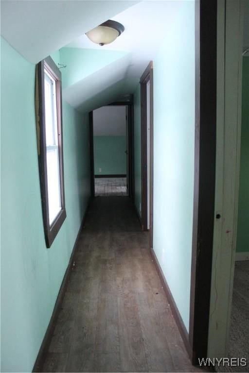 corridor with dark hardwood / wood-style floors and vaulted ceiling