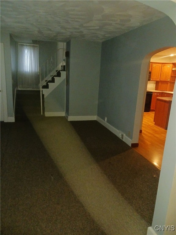 basement featuring hardwood / wood-style flooring