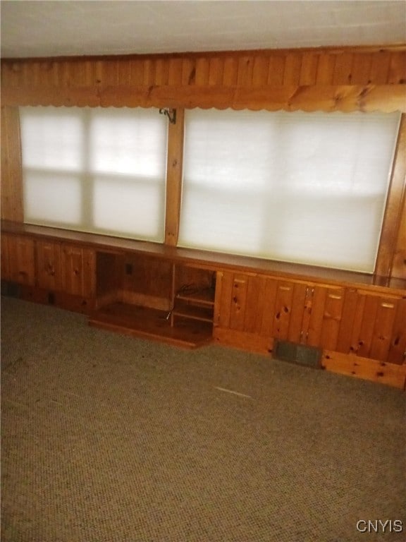 spare room featuring wood walls and carpet floors