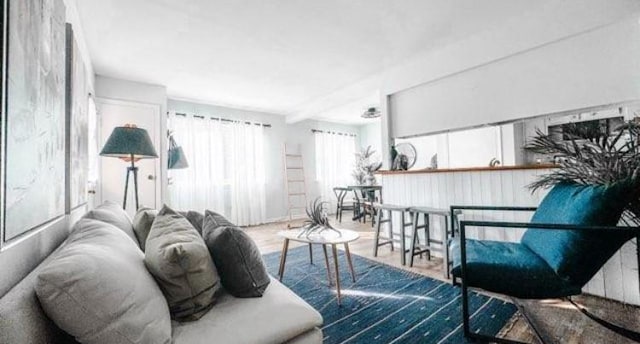 living room featuring hardwood / wood-style floors