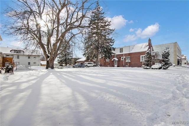 view of yard covered in snow