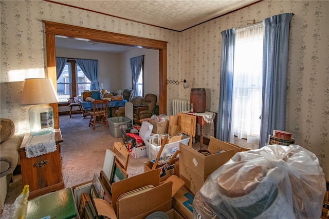 miscellaneous room with radiator and carpet