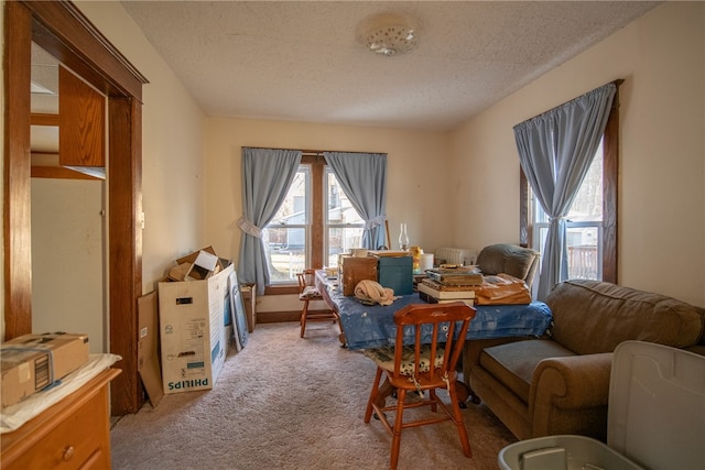 sitting room featuring carpet flooring and a textured ceiling