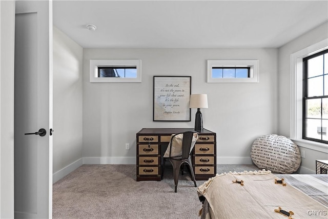 bedroom featuring carpet flooring