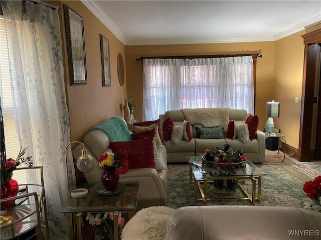 living room with ornamental molding