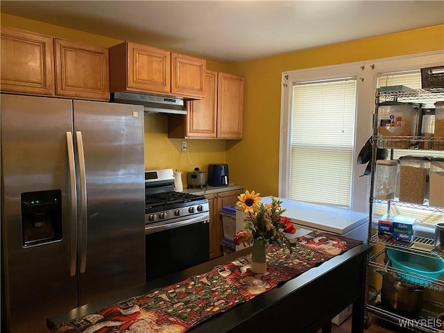 kitchen with stainless steel appliances