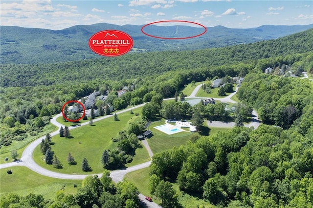 birds eye view of property with a mountain view