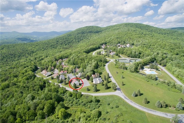 birds eye view of property featuring a mountain view