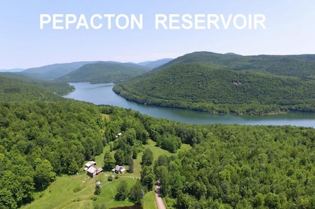 birds eye view of property featuring a water and mountain view