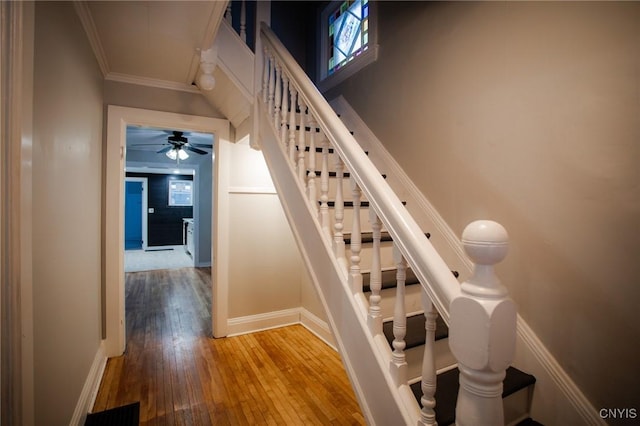 staircase with hardwood / wood-style floors and crown molding