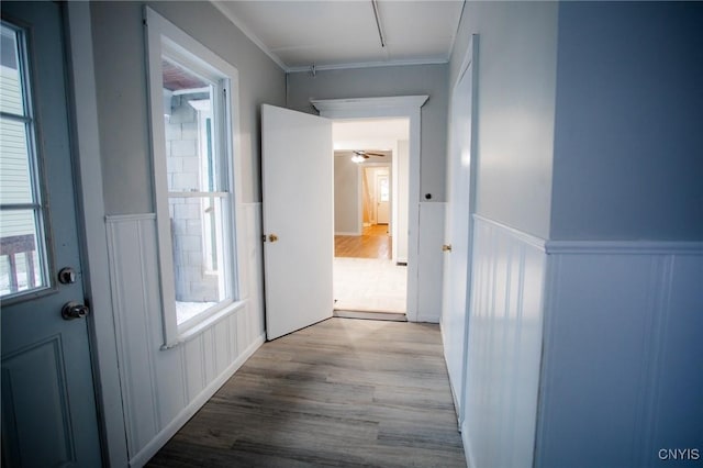 hallway with light wood-type flooring, a wealth of natural light, and ornamental molding