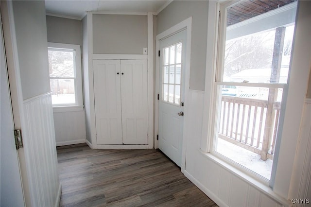 doorway to outside featuring dark hardwood / wood-style flooring and ornamental molding