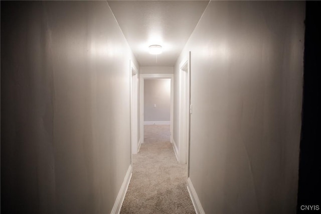 hallway with light carpet