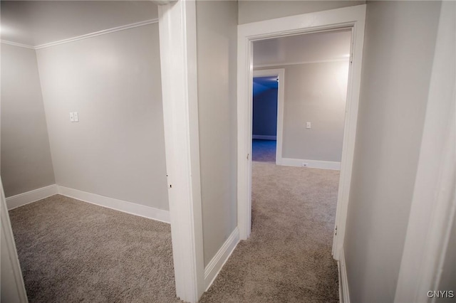 hall with carpet floors and ornamental molding