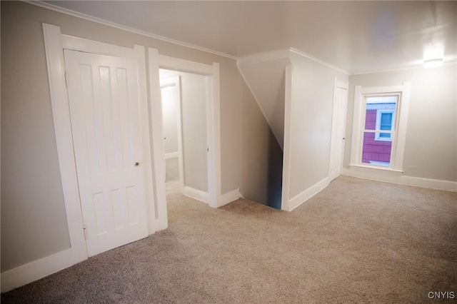 bonus room with carpet