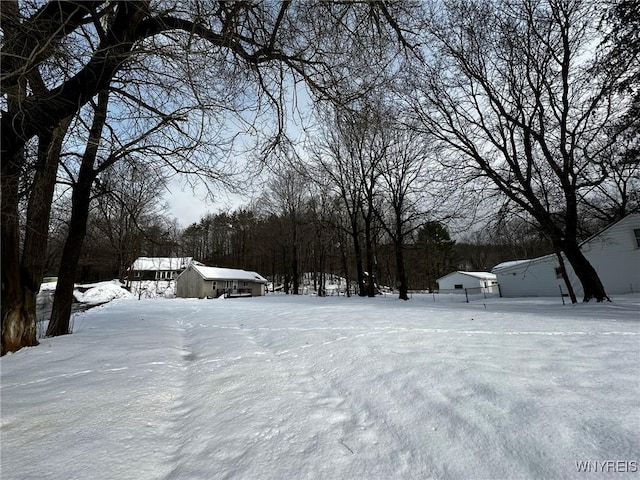 view of snowy yard