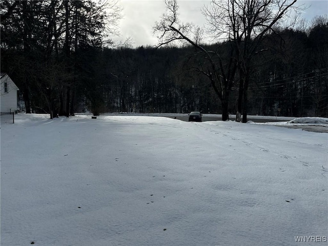 view of snowy yard