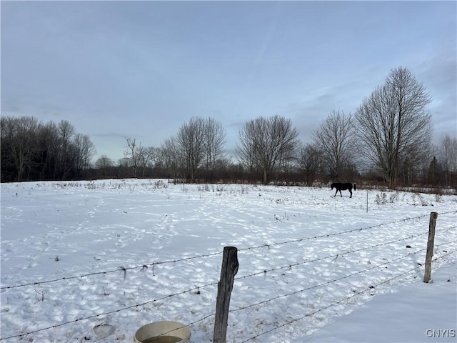 view of snowy yard