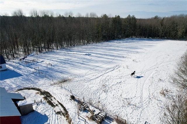 view of yard covered in snow