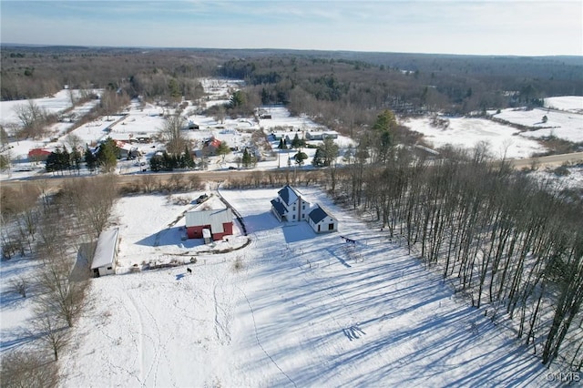 view of snowy aerial view