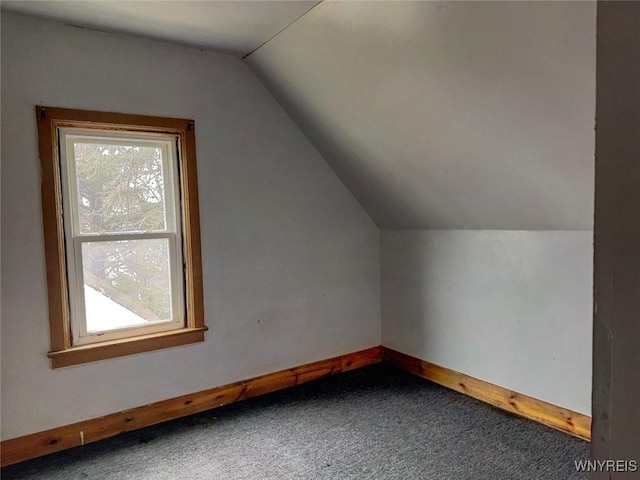 additional living space with carpet floors and lofted ceiling