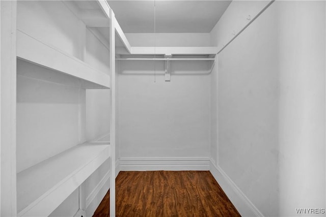 walk in closet featuring hardwood / wood-style flooring