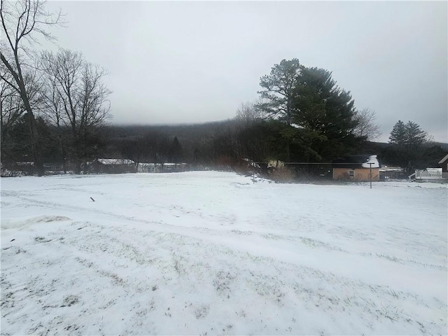 view of yard covered in snow