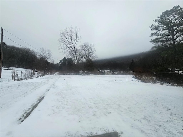 view of snowy yard