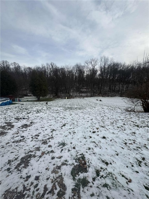 view of yard layered in snow