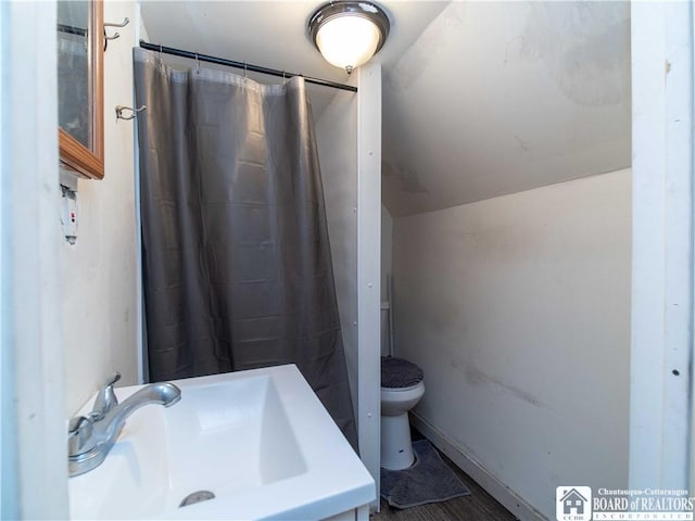 bathroom with toilet, lofted ceiling, and sink