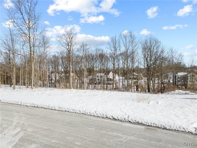 7101 Kittiwake Run, Manlius NY, 13104 land for sale