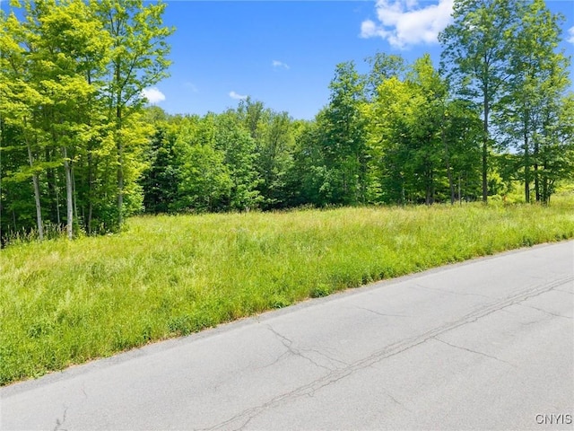 7101 Kittiwake Run, Manlius, NY 13104