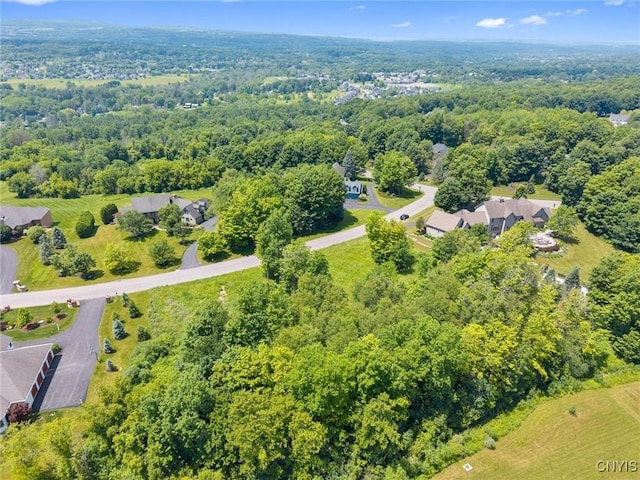 7101 Kittiwake Run, Manlius, NY 13104
