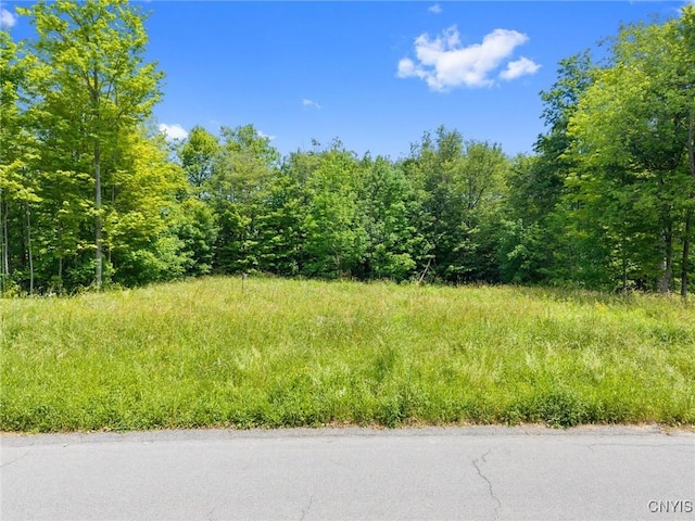 7101 Kittiwake Run, Manlius, NY 13104
