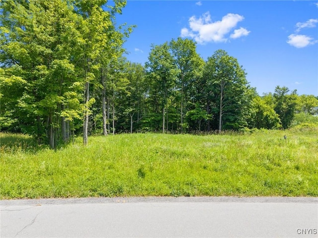 7101 Kittiwake Run, Manlius, NY 13104