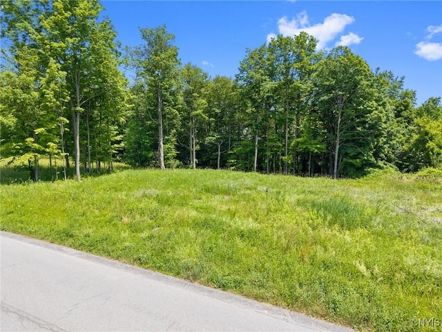 7101 Kittiwake Run, Manlius, NY 13104